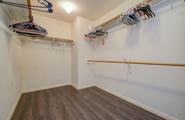 spacious closet featuring dark wood-type flooring