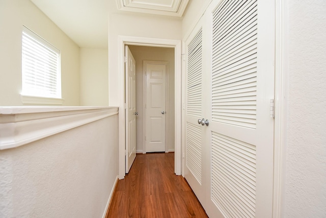 corridor with dark hardwood / wood-style floors