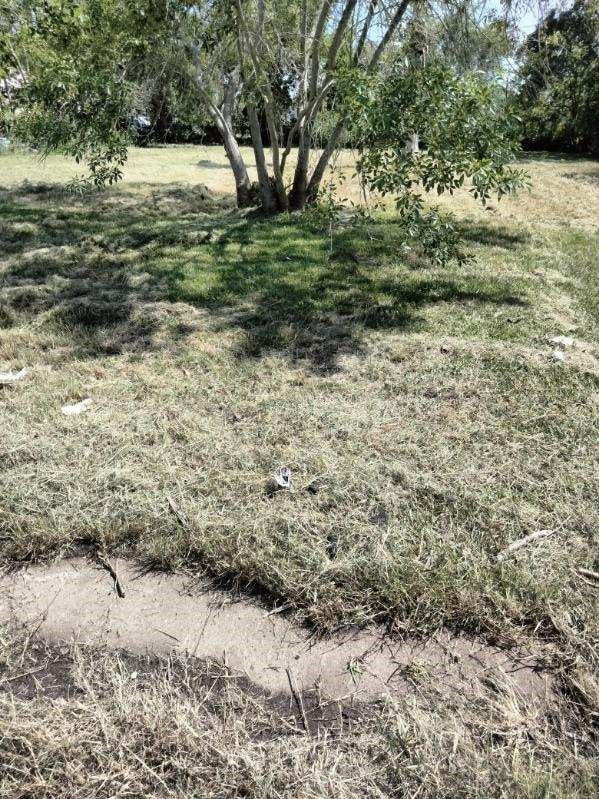 615 W 5th St, Freeport, TX 77541 - photo 2