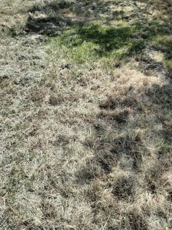 615 W 5th St, Freeport, TX 77541 - photo 3