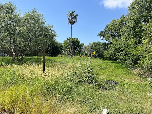 615 W 5th St, Freeport, TX 77541 - photo 4