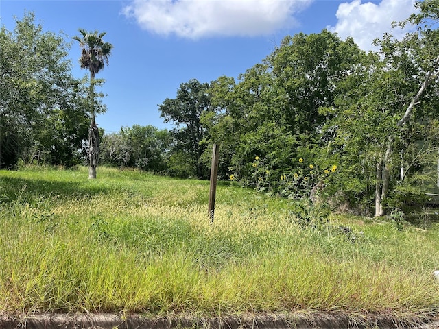 615 W 5th St, Freeport, TX 77541 - photo 5