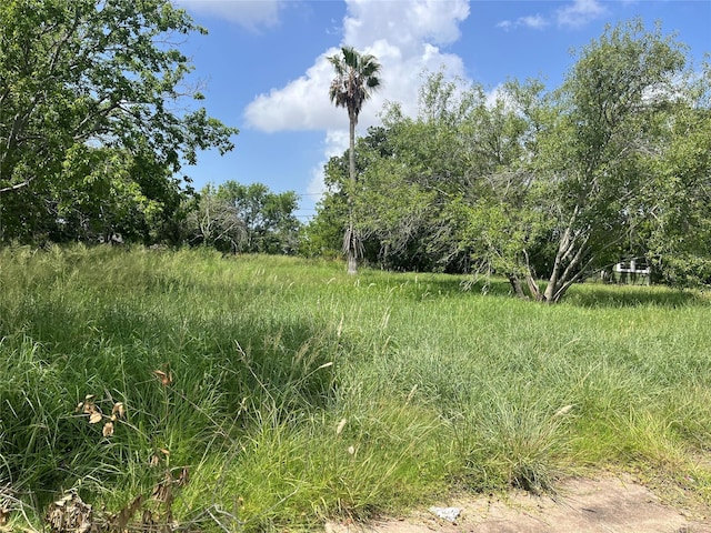 615 W 5th St, Freeport, TX 77541 - photo 6