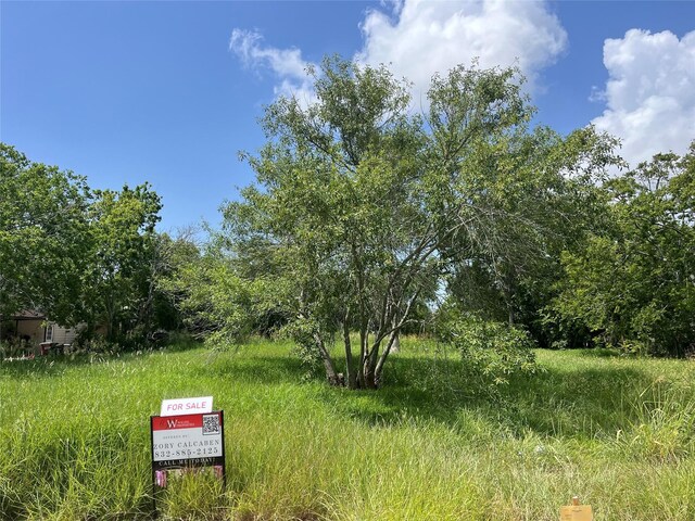 615 W 5th St, Freeport, TX 77541 - photo 7