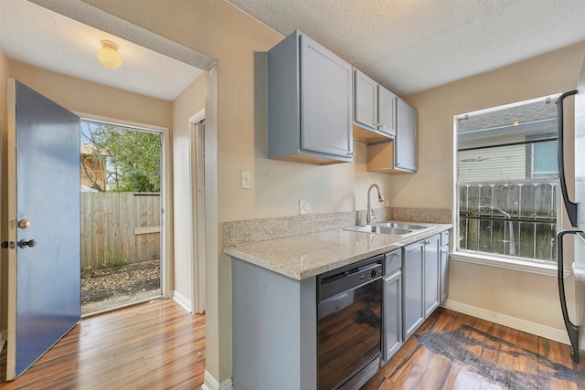 kitchen featuring sink, dishwasher, hardwood / wood-style floors, and gray cabinetry