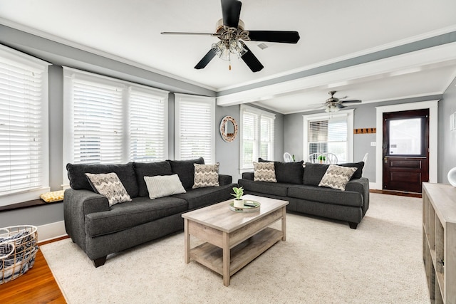 living room with ceiling fan, ornamental molding, and light wood-type flooring