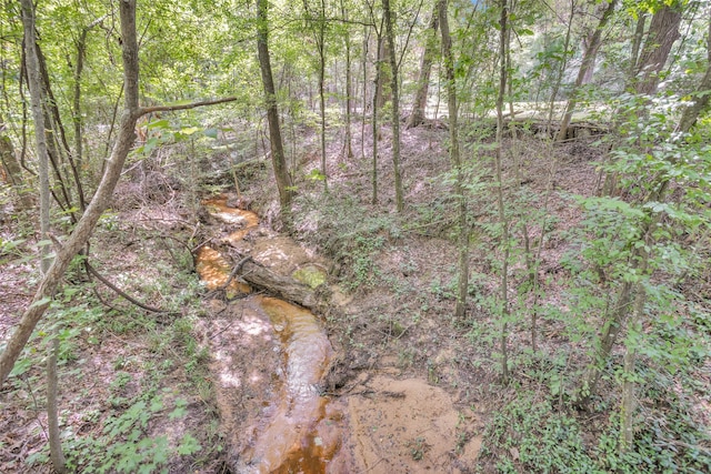 view of local wilderness