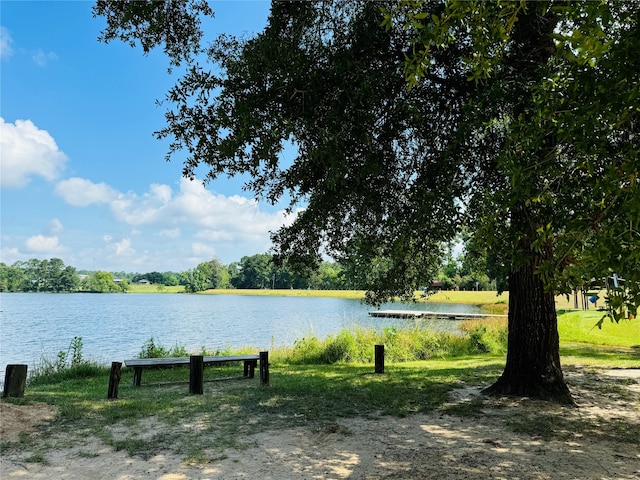 property view of water