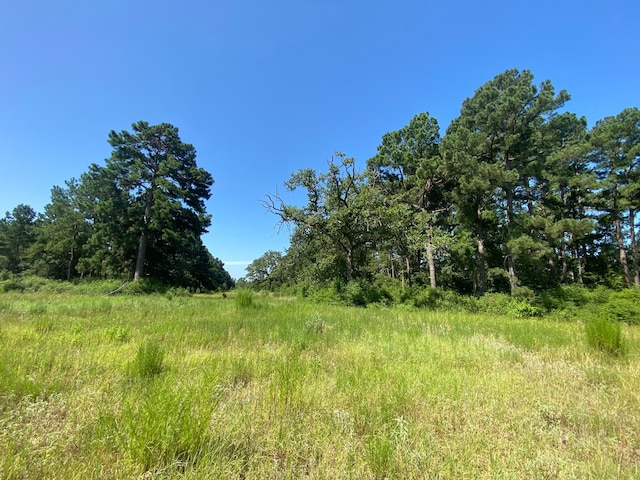 LOT8 County Road 114, Centerville TX, 75833 land for sale