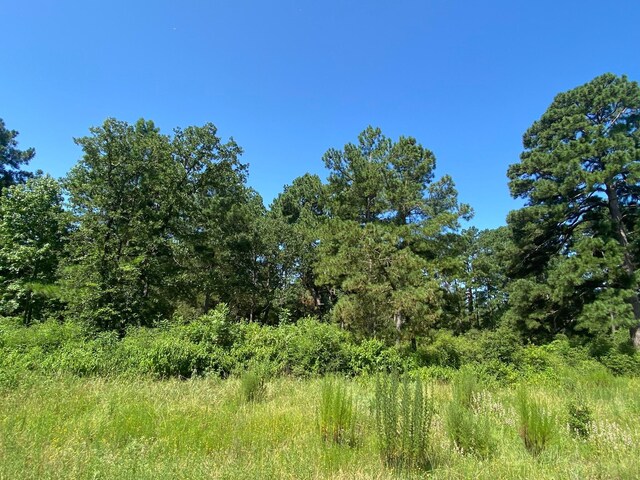 Listing photo 2 for LOT8 County Road 114, Centerville TX 75833