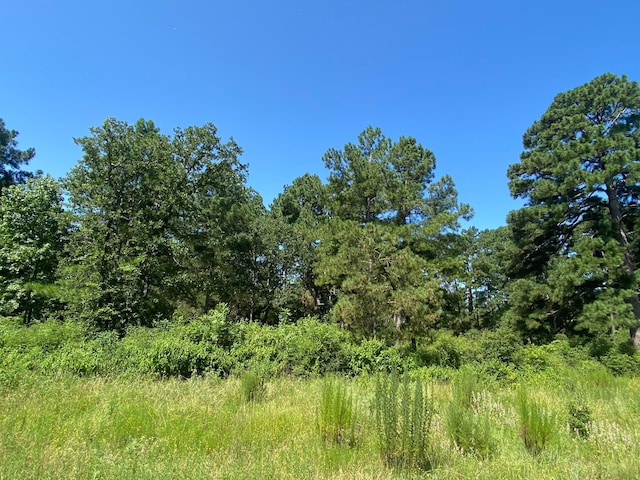 LOT8 County Road 114, Centerville, TX 75833 - photo 8