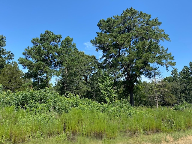 LOT8 County Road 114, Centerville, TX 75833 - photo 10
