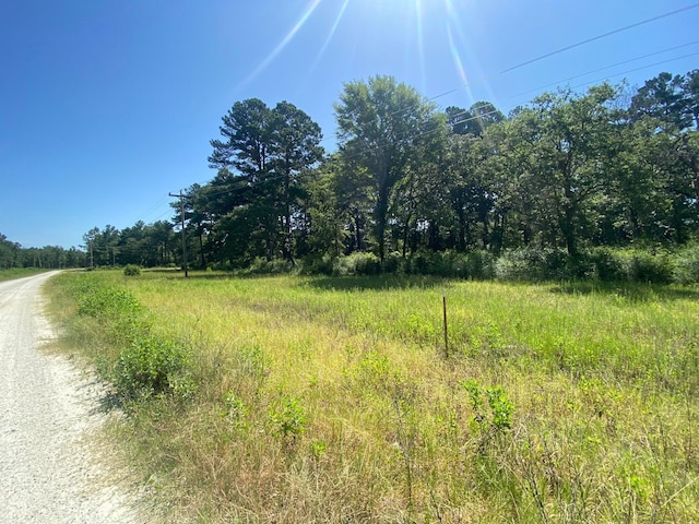 LOT8 County Road 114, Centerville, TX 75833 - photo 12