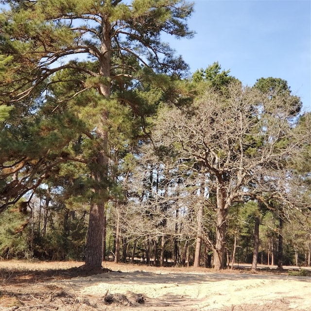 LOT8 County Road 114, Centerville, TX 75833 - photo 6