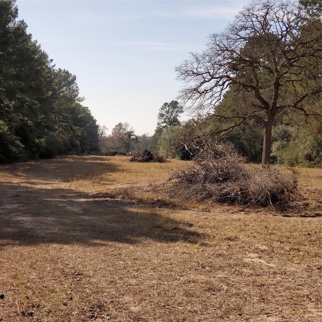 LOT8 County Road 114, Centerville, TX 75833 - photo 7