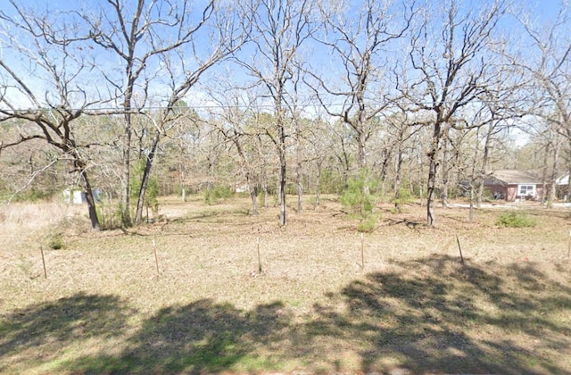 Listing photo 2 for 7820 Boars Head Pl, Montgomery TX 77316