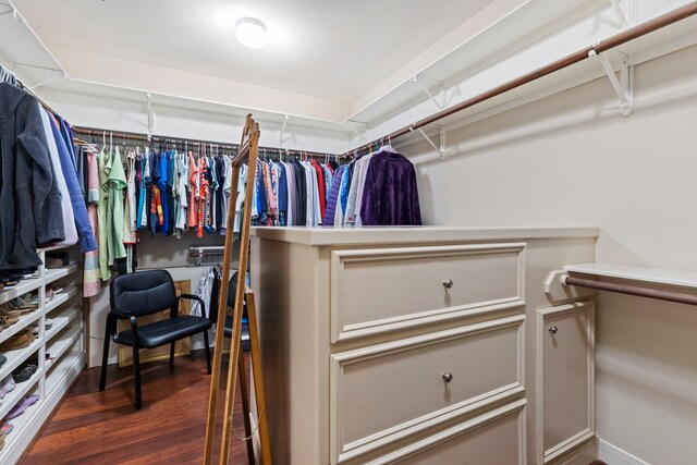 walk in closet featuring dark hardwood / wood-style floors