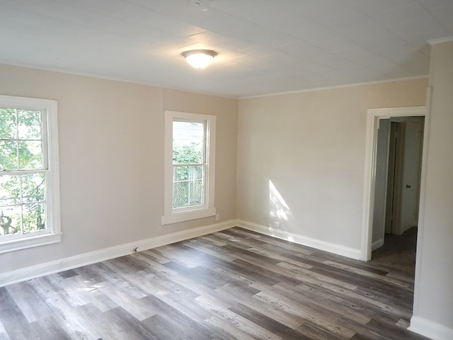 spare room featuring plenty of natural light, dark hardwood / wood-style floors, and ornamental molding