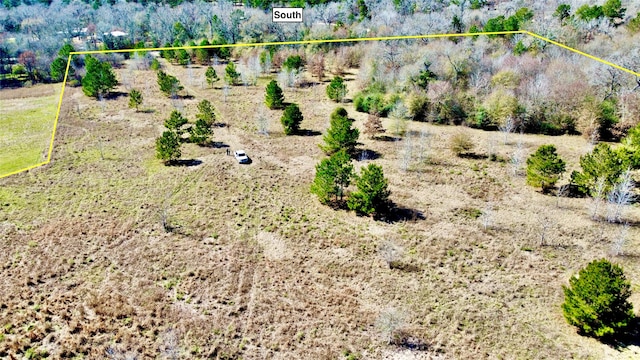 977 Tafelski Rd, New Waverly TX, 77358 land for sale