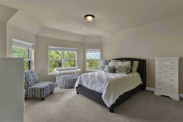 carpeted bedroom featuring a tray ceiling