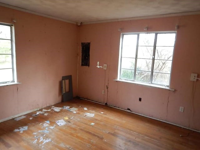 unfurnished room featuring wood-type flooring, electric panel, plenty of natural light, and crown molding