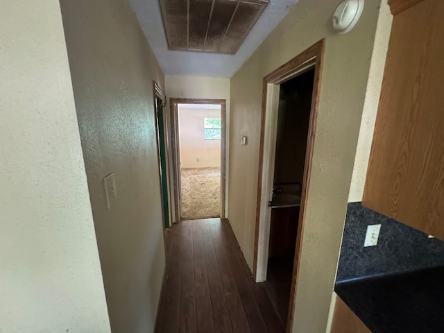 hallway featuring dark wood-type flooring