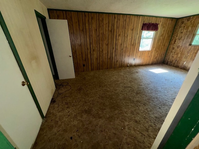 carpeted spare room with wooden walls