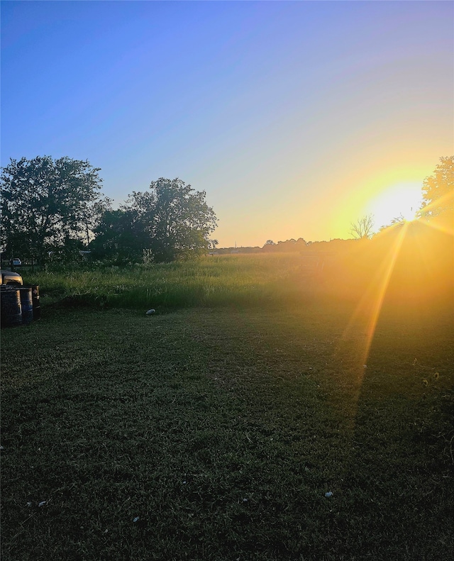 view of yard at dusk