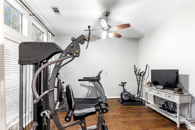 exercise room with dark hardwood / wood-style floors and ceiling fan