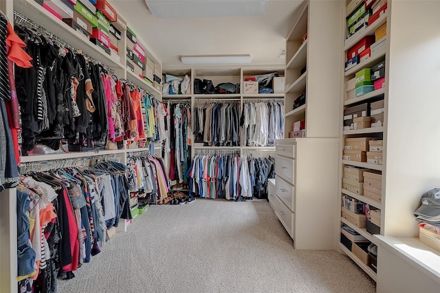 spacious closet with light carpet