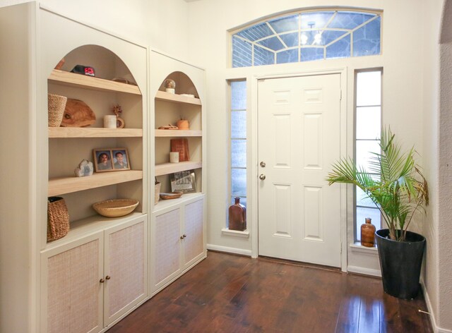 foyer entrance featuring dark hardwood / wood-style flooring