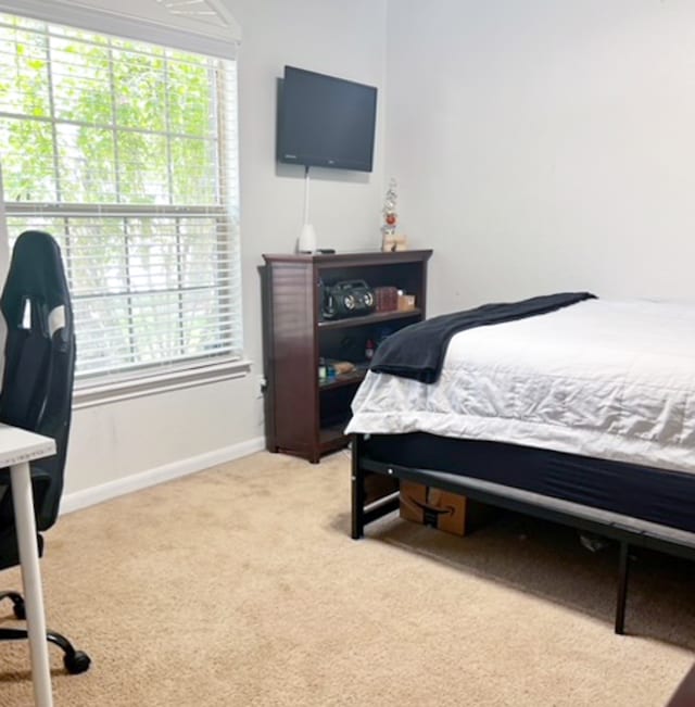 carpeted bedroom featuring multiple windows