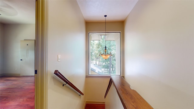 24 Autumn Cres, The Woodlands, TX 77381 - photo 24