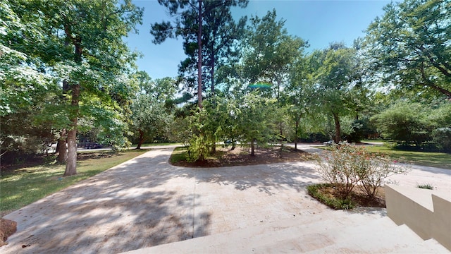 24 Autumn Cres, The Woodlands, TX 77381 - photo 50