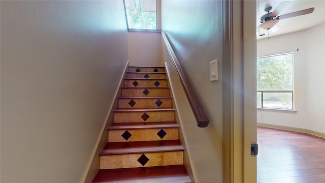 24 Autumn Cres, The Woodlands, TX 77381 - photo 23