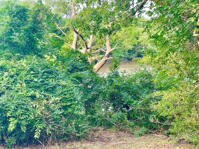 view of local wilderness with a water view