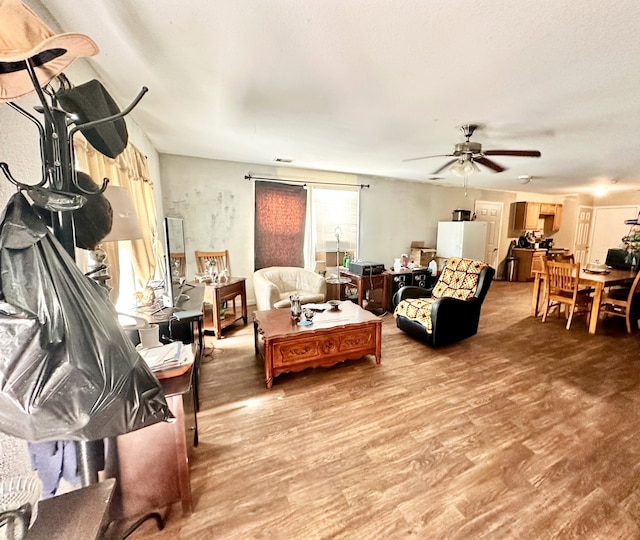 living room featuring ceiling fan and wood-type flooring