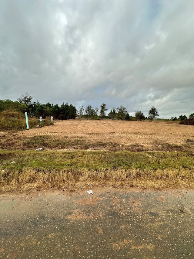 1179 Rd 5705, Cleveland TX, 77327 land for sale