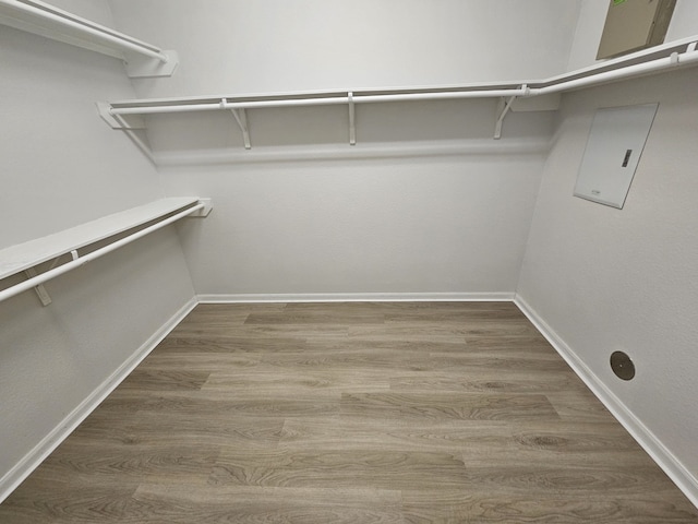 walk in closet featuring hardwood / wood-style flooring