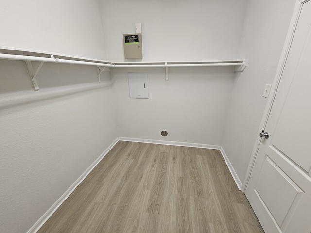 clothes washing area with light hardwood / wood-style flooring and washer hookup