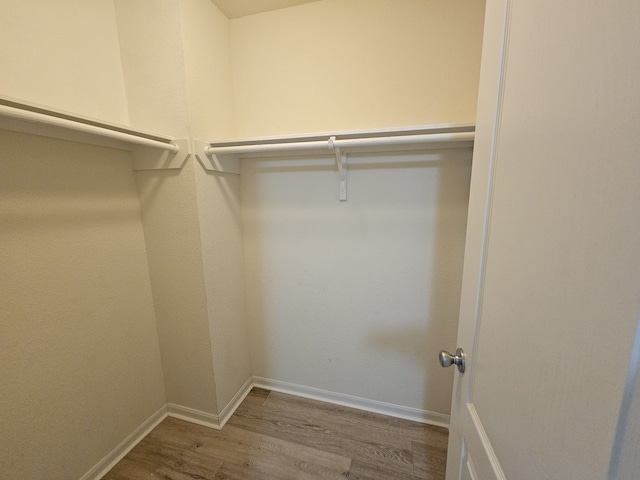 walk in closet featuring wood-type flooring