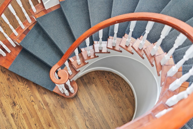 stairs featuring wooden walls