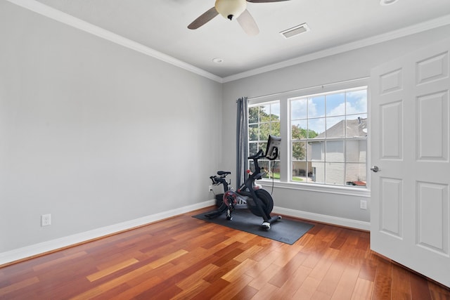 exercise area featuring ceiling fan, wood-type flooring, and ornamental molding