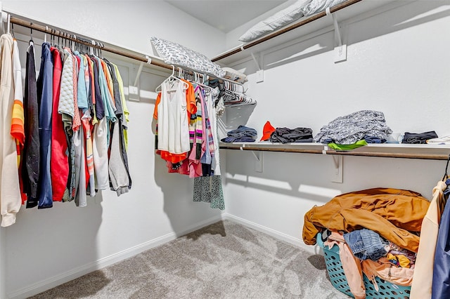 walk in closet featuring carpet