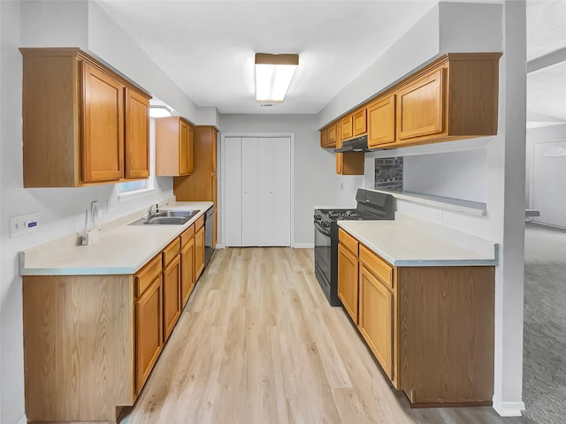 kitchen featuring sink, light colored carpet, and black range