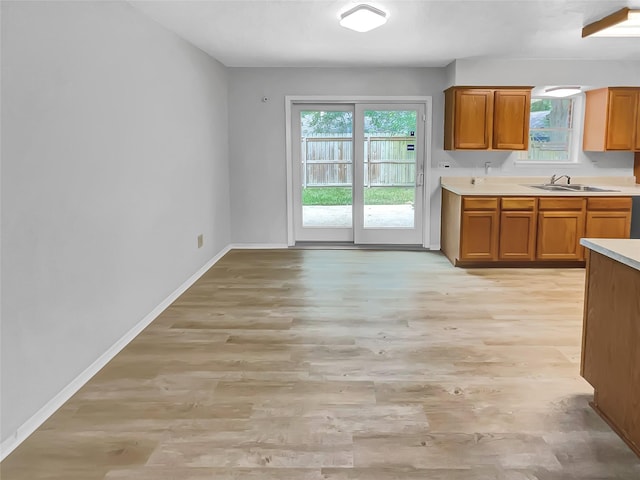 kitchen with sink and light hardwood / wood-style flooring