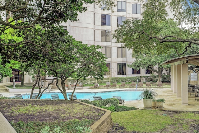 view of swimming pool