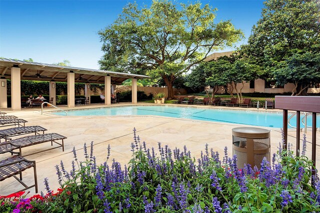 view of pool featuring a patio area