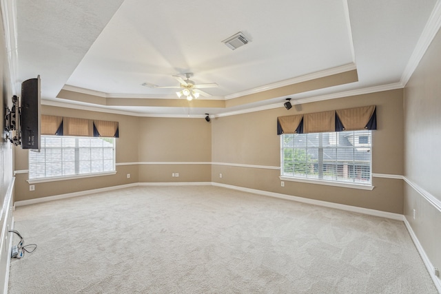 spare room with a raised ceiling, ornamental molding, and light carpet