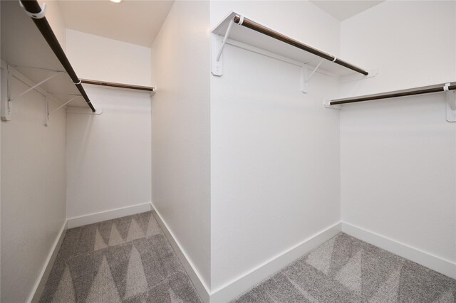 spacious closet featuring carpet floors